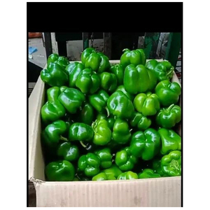 Pimiento Fresco / Capsicum Fresco / Pimiento de Boca Fresco - Product Image 5
