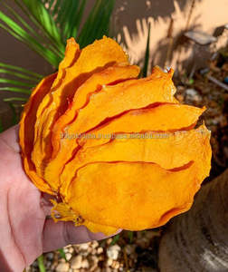 Rebanada de Mango Seco masticable con textura dulce y suave de Color amarillo dorado con bocadillo tropical de secado AD para exportación por 99 Gold Data - Product Image 6