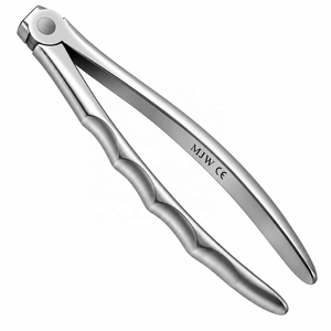คีมถอนฟันส่วนบนด้านหลัง คีมถอนฟันสแตนเลส เครื่องมือผ่าตัดช่องปาก - CE & ISO - Product Image 3