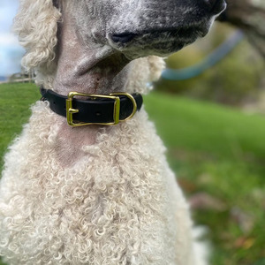Collar de perro de cuero genuino trenzado de primera calidad, ajustable y cómodo, accesorio para mascotas para entrenamiento, paseos y uso diario, en venta. - Product Image 6