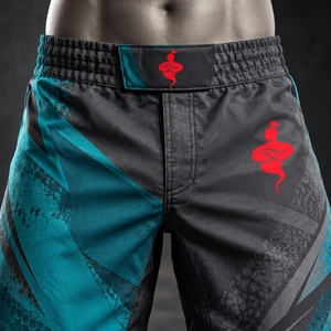 Shorts d'entraînement durables pour hommes MMA, matériau extensible flexible, construction légère, pour arts martiaux, fitness et sports - Product Image 5