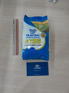 Riz blanc à grains longs ST25 de qualité supérieure pour la vente en gros - Marque Vilaconic - Product Image 1