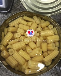 Maíz de bebé enlatado OEM al por mayor, entero y cortado en salmuera | Suministro a granel | Sra. Lily - Product Image 4