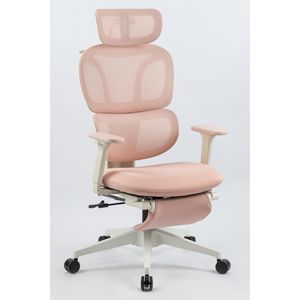 Sedia da Ufficio Ergonomica con Schienale Alto, Supporto Lombare Dinamico, Poggiatesta 2D, Braccioli 2D e Poggiapiedi - Product Image 1