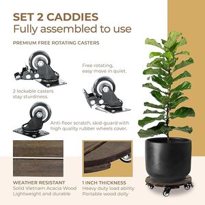 Gran oferta, bandeja de madera de acacia para plantas, carrito, maceta rodante de alta resistencia, ruedas bloqueables, minimalista para uso doméstico, centro comercial - Product Image 5