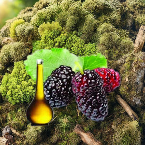 Huile essentielle de mûrier naturelle 100% pour qualité cosmétique et aromathéray disponible dans un emballage en vrac de 25kgs et 180kgs - Product Image 1