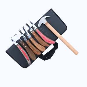 Kit d'outils de fermeur de qualité industrielle avec marteau, couteau à sabots à double lame tranchante, couteau à sabots à lame étroite en D, couteau à boucle d'abcess arc-en-ciel - Product Image 1