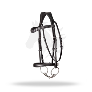 Bridon anglais CAVESSON taille standard pour l'entraînement des chevaux - Product Image 1