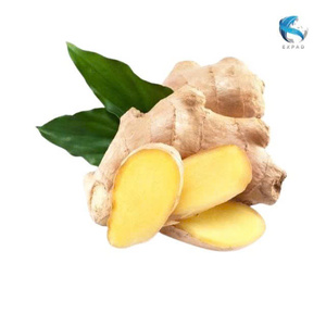 ขิงอ่อนแห้งแบบหั่นฝอย บรรจุภัณฑ์สุญญากาศ คุณภาพเยี่ยม ราคาสุดคุ้ม สำหรับทำแยม ผงชา ชาซอง บรรจุในขวดโหล ผู้ส่งออกโดยตรง - Product Image 3