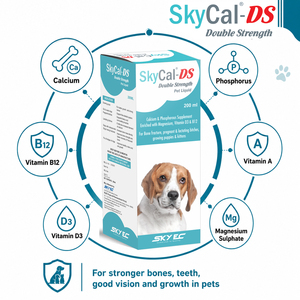 SkyEC SkyCal-DS Syrup Doble Concentración 200ml Suplemento Líquido de Calcio, Fósforo y Multivitaminas para Apoyo Inmunológico y Salud Ósea - Product Image 4