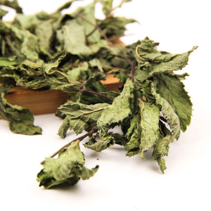 Proveedor de Pudina India (Menta Seca en Rodajas) de Gujarat para Té - Product Image 4