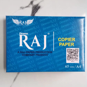 Papier copieur professionnel format A4, 65 g/m², pour rapports d'affaires, présentations et projets d'impression, provenant d'un fournisseur indien. - Product Image 1