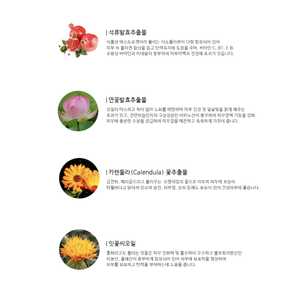 Opus Korea Esencia Fermentada Romántica 55ml Granada y Loto Levadura Hidratante y Brillo Exfoliante Facial a Base de Hierbas - Product Image 3