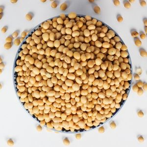 Superior <b>Soybean</b> Seed For Export <b>Soybean</b> Seed With High Germination Rate And Exceptional Nutritional Benefits - Product Image 6