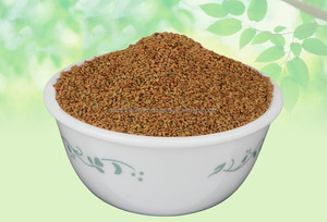 Trigonella Foenum Fenugreek Semilla Champa Methi Beej Kasuri Methi Semilla Salvia Semilla Especias Indias Tradicionales - Product Image 3