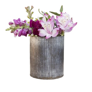 Antique Indoor <b>Succulent</b> Planter Galvanized Metal Corrugated Flower <b>Pot</b> <b>for</b> Farmhouse Garden Indoor Flower <b>Pots</b> & Planters - Product Image 1