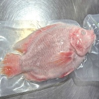 Tilapia Rouge Entière Naturelle Tranchée IQF Congelée, Emballage Carton 20kg, Qualité Restaurant & Hôtel, Durée de Conservation 24 Mois