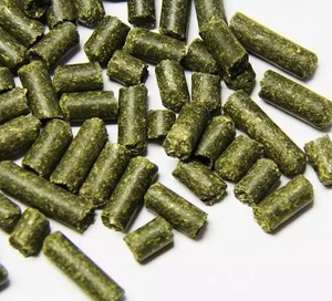 Heno de Alfalfa en Pellets de Primera Calidad para Alimentación Animal, de Ucrania, Empaquetado en Brasil, Color Verde - Product Image 3