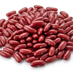 Export Quality Red Kidney <b>Beans</b> / FDA Standard Rajma <b>Beans</b> for International Market Bulk Supply 10MT Order Food Grade - Product Image 4