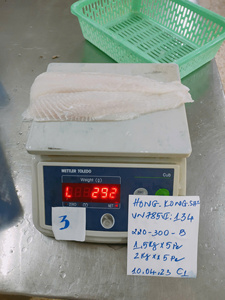 Pangasius Congelado IQF Disponible en Tamaños Personalizados, Filete Premium con Piel de Vietnam, envasado a granel, con acabado brillante, 10 kg/caja - Product Image 3