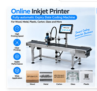 Imprimante jet d'encre automatique en ligne pour l'impression de dates de péremption et de codes de lots sur bois, métal et plastique