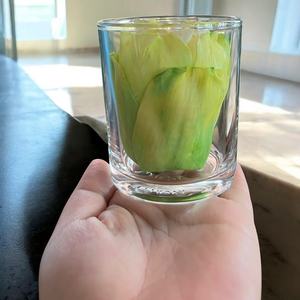 VADEE SOLA WOOD FLOWER SET Diffuseur Fleurs en Bois Sola 6,5 CM Couleur Vert Doux Fibre de Plante Sesbania Bâtonnets d'Aromathérapie Faits à la Main - Product Image 2