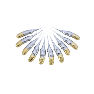 ชุดอุปกรณ์ถอนฟันสแตนเลสสตีล 10 ชิ้น ราคาดีที่สุด  ฐานรูปแบบเครื่องมือผ่าตัด ได้รับการรับรองมาตรฐาน CE ISO โดย Surgiright Instrument - Product Image 2