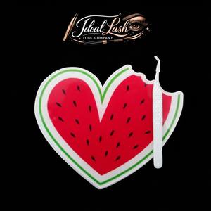 Palette de cils de luxe à design personnalisé en gros, Organisateur de cils en acrylique Pure View de qualité supérieure, Plateau à cils avec poignée en velours - Product Image 1