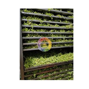 Fleur de papaye séchée entière naturelle, herbes et tiges pour tisane, export maritime mondial depuis le Vietnam, livraison rapide - Product Image 3