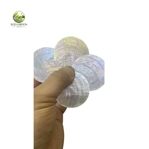 Disques de coquille de Capiz naturels et écologiques, 1 et 2 trous, style rustique pour lustre et abat-jour par Eco Green Vietnam - Product Image 1