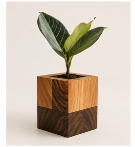 Jardinière cubique en bois de manguier, artisanale, moderne et luxueuse, écologique, bicolore, géométrique, pour bureau, personnalisable, vente en gros - Product Image 4
