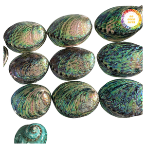 Natural Sea Abalone Shell Green Color Gloss Finish - Product Image 2