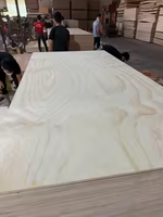 Coeur en contreplaqué d'eucalyptus 4x8 pieds pour la construction de sous-couche de revêtement de sol stratifié, bois multicouche