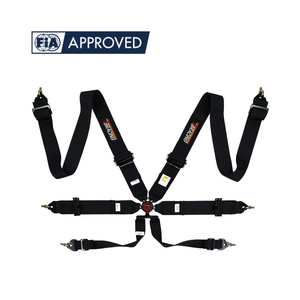 Harnais 6 points TBRACING Professional ECO A FIA 8853 2016 avec sangle de hanche de 2 pouces et languette en T pour voitures de course - Product Image 1