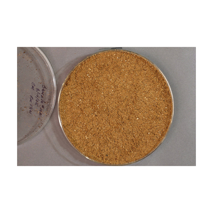 กากเมล็ดเรพซีด/กากเมล็ดคาโนลา คุณภาพเยี่ยม ราคาประหยัด มีจำหน่าย - Product Image 5