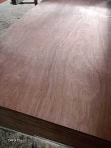 แผ่นวีเนียร์อะคาเซียเกรดพรีเมียม Fomex Greenwood แบบสองด้าน ผิวบินตังกอร์ สำหรับตกแต่งภายในซูเปอร์มาร์เก็ต - Product Image 5