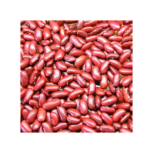 Haricots rouges de haute qualité pour la santé, en vente, meilleure qualité, forme allongée, haricot rouge foncé - Product Image 1