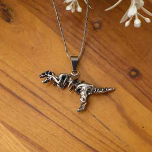 Collar con Colgante de Esqueleto de Dinosaurio en Latón Hecho a Mano – Amuleto de T-Rex en Plata Antigua Oxidada, Joyería Artesanal de Jaipur - Product Image 3