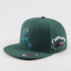 Gorra de Béisbol de Alta Calidad con 6 Paneles, Logotipo Bordado en 3D Personalizado, Gorra Plana con Visera Plana, Ajustable, a la Moda - Product Image 2