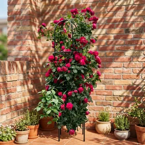 Black Metal Garden Rose Trellis Tower with Circular Support Rings Climbing Plant Frame for Vines Flowers Outdoor Garden Decor - Product Image 2