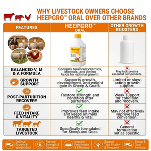 HeepGrow Multivitamines, Multiminéraux et Acides Aminés : Stimulant de Croissance et Soutien Immunitaire pour Ovins et Caprins |   Formule sans céréales |   Pack de 500 ml - Product Image 5