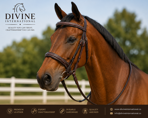 Bridons pour chevaux en cuir pleine fleur de qualité supérieure, fabricant d'équipements équestres en gros de Divine International - Product Image 5
