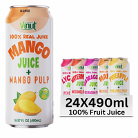 490ml Mango Sap met Vruchtvlees, OEM ODM Private Label Drankproducent Vietnam