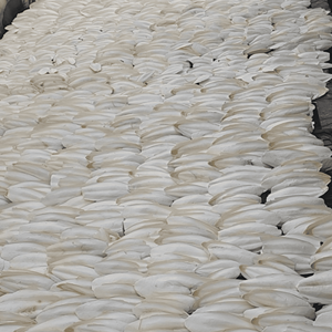 Os de seiche, coquille de calmar naturelle, matériau pour accessoires de cage, décoration d'aquarium et usage pour animaux de compagnie, Vietnam - Product Image 4