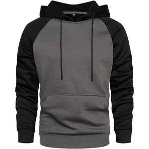 Nouveautés tendance : Sweat à capuche d'hiver éco-responsable de qualité, manches longues, multi-panneaux, marque SPORTEX WEARS, fermeture éclair, pour homme - Product Image 5