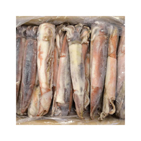 Meilleur Stock Calamars Congelés de Qualité Supérieure, Tubes Lavés à la Machine, Sans Additifs, Vente en Gros, Prêts à Expédier, Qualité Alimentaire, Approvisionnement Export