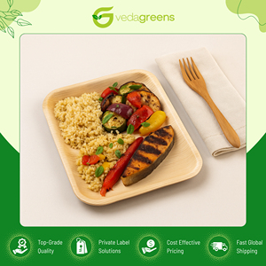 Experts in Selling Disposable Tableware Areca Palm Rectangular Plates of Outstanding Quality for Catering & Events from India - Product Image 3