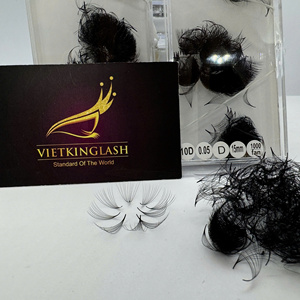 Vietkinglash 10D 15mm High Quality Handmade Matte Black Premade Volume <b>Fans</b> Eyelash Extensions 0.03 0.05 Lash Trays Wholesale - Product Image 5