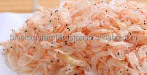 สูตรข้าวผัดกุ้ง GEM - Product Image 6