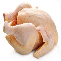Poulet entier halal congelé de qualité supérieure, poulet entier halal congelé brésilien de qualité supérieure, poulet entier congelé de qualité supérieure pour la vente en gros